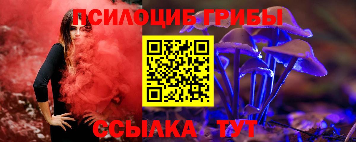 Галлюциногенные грибы прущие грибы Дивногорск